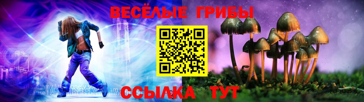 Кинель  Псилоцибиновые грибы Psilocybine cubensis  Вход с VPN 